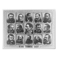 Beard Trimming Chart 1884 Zazzle Com Posters Beard No