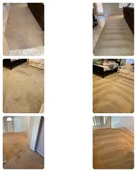 photos by spotless carpet cleaning service