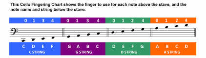 Beginners Notes On The Staff And What String They Are On
