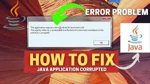 how to solved error this application
