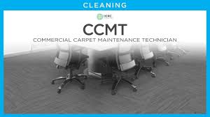 carpet cleaning training carpet