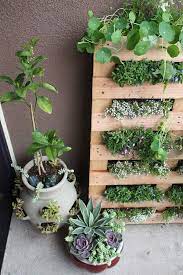 cool diy green living wall projects for