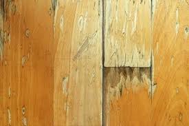 repair a damaged wooden floor