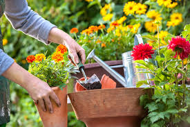 How To Prepare The Garden For Summer