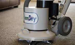 choose a carpet stain removal service
