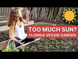 Grow Vegetables In Florida