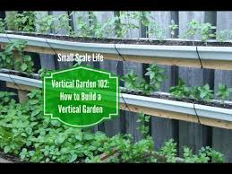 vertical garden from rain gutters