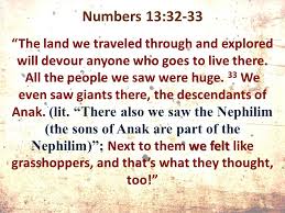 Numbers “So Close And Yet So Far”. Numbers 13:1-3 1 YaHWeH now said to  Moses, 2 “Send out men to explore the land of Canaan, the land I am giving.  - ppt download