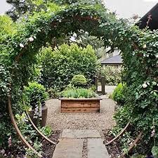Garden Arch Climbing Vines Trellis