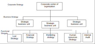 Expert Researcher Strategic Management Levels Of Strategy