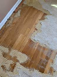 carpet need some help identifying shqt