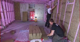 Mike Holmes For Roxul Insulation