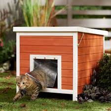 Outdoor Cat Shelter In Cat Furniture