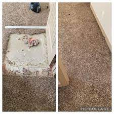 green solution organic carpet cleaning