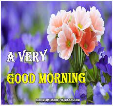 Admin september 19, 2021 last updated: Very Beautiful Good Morning Images Photo Free Download Good Morning