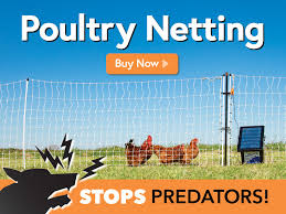 Electric Fence And Netting For Poultry
