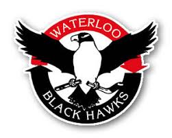 The Ushl Arena Travel Guide Young Arena Waterloo Black