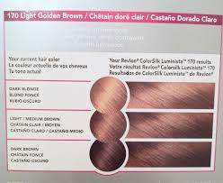 Colorsilk Luminista Vibrant Color For Dark Hair Review