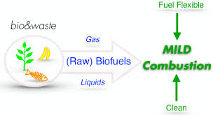 Mild Combustion And Biofuels A