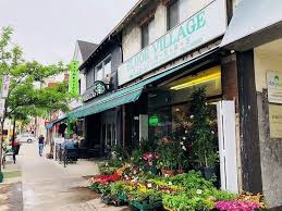 the 10 best things to do near bloor