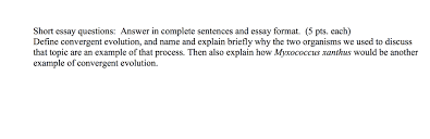 Solved Short Essay Questions Answer In Complete Sentence