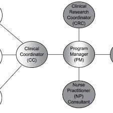 Flow Chart Illustrating Rn Roles And Relationships The