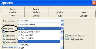 proper date formats in ms project