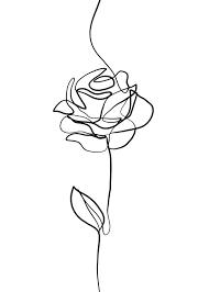 rose line drawing europosters