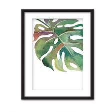 The Best Framed Plant Wall Art That You