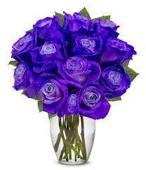 one dozen radiant purple roses at from