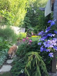My Garden Lessons Learned Garden Design