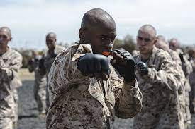 mcmap the marine corps martial arts