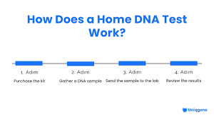 facts about at home dna testing
