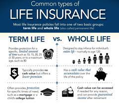 One of the biggest benefits of. Whole Life Insurance Term Life Insurance When I First Entered The Working Whole Life Insurance