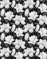 white flower wallpaper background