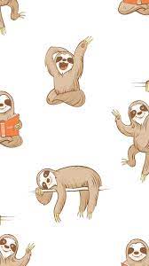 cute sloth wallpapers top free cute