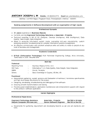 Resume Professional Profile Examples Resume Personal Profile Example