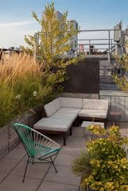 Nyc Rooftop Garden With Birch Trees And