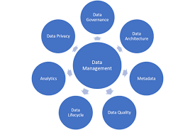 what is a data management framework