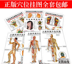 Us 9 98 Chart Of The Hand Reflective Point Zone Health Therapy Massage Acupuncture Acupoints Medical Study Chinese English Waterproof In Massage