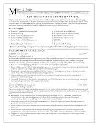 Customer Service Executive Resume Sample  resumecompanion com  MyPerfectResume com