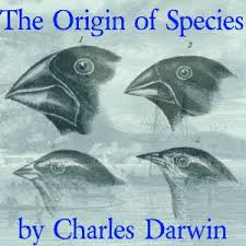 Until recently the great majority of naturalists believed that species were immutable productions, and had been separately created. On The Origin Of Species By Means Of Natural Selection Charles Darwin Free Download Streaming Origin Of Species Darwin Origin Of Species Charles Darwin