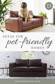 pet friendly living room