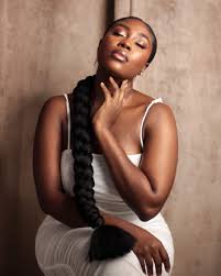 Fulani braids into twisted pony. Have You Ever Tried Out A Braided Ponytail Ghanaian Youtuber Jesiscah Just Showed Us How Bellanaija