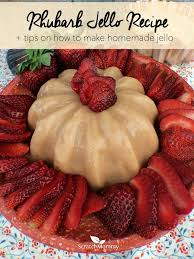 rhubarb jello tips on how to make