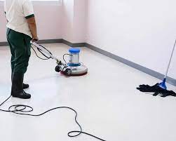 vinyl floor cleaning and polishing