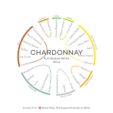 The 9 Primary Styles Of Wine Wine Folly