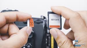 guide to sd cards vs micro sd cards