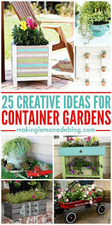25 Creative Container Garden Ideas