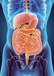They can affect your digestion, such as: Stomach Cancer Causes Symptoms And Treatment